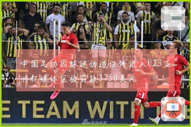 中国足协因球迷伪造证件进入U23亚洲杯媒体区被罚款3750美元