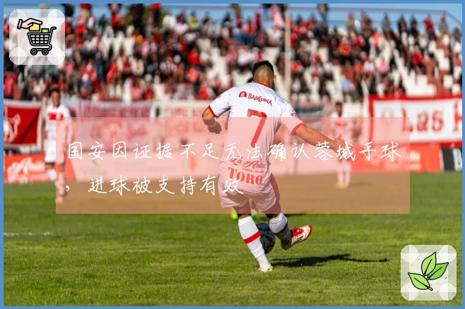 国安因证据不足无法确认蓉城手球，进球被支持有效