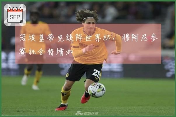 若埃基蒂克缺阵世界杯，穆阿尼参赛机会将增加
