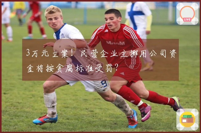 3万元立案！民营企业主挪用公司资金将按贪腐标准受罚？